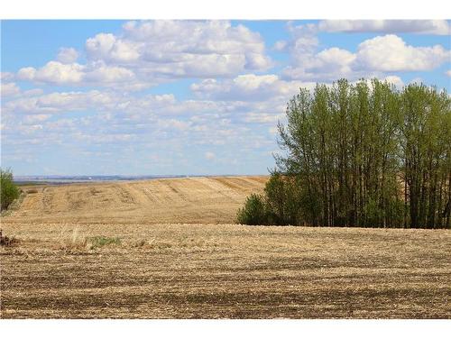 292 Rr292 Acres, Rural Rocky View County, AB 