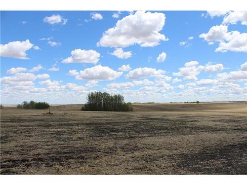 292 Rr292 Acres, Rural Rocky View County, AB 