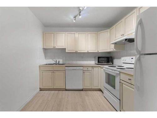 208-1528 11 Street, Calgary, AB - Indoor Photo Showing Kitchen With Double Sink