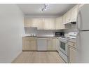 208-1528 11 Street, Calgary, AB  - Indoor Photo Showing Kitchen With Double Sink 