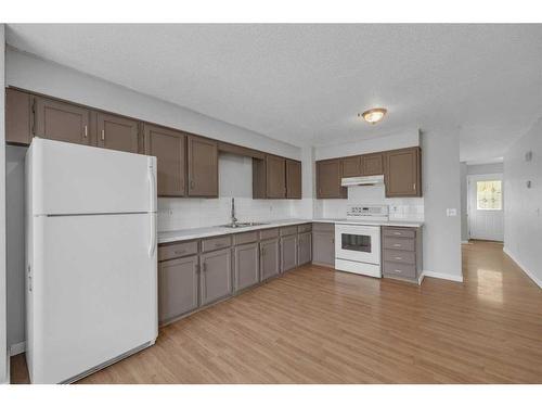 4239 58 Street Ne, Calgary, AB - Indoor Photo Showing Kitchen With Double Sink