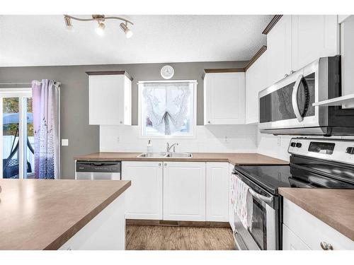 362 Copperfield Grove Se, Calgary, AB - Indoor Photo Showing Kitchen With Double Sink