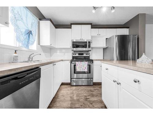 362 Copperfield Grove Se, Calgary, AB - Indoor Photo Showing Kitchen With Double Sink