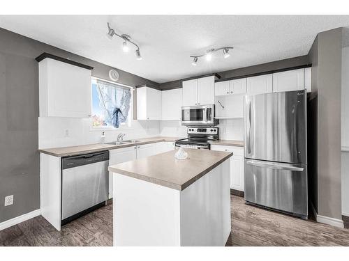 362 Copperfield Grove Se, Calgary, AB - Indoor Photo Showing Kitchen With Double Sink