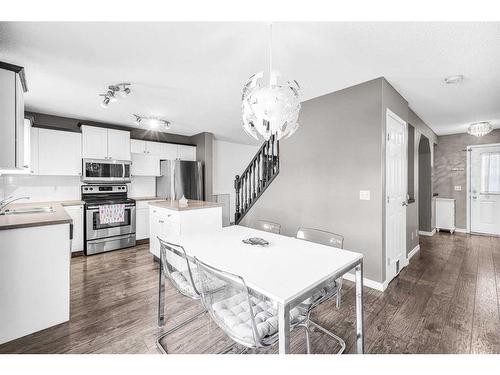 362 Copperfield Grove Se, Calgary, AB - Indoor Photo Showing Kitchen