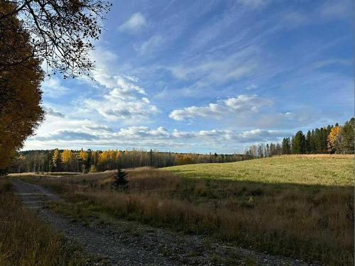 West Of Rr 55 Township 303, Rural Bighorn No. 8, M.D. Of, AB 