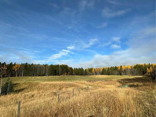 West Of Rr 55 Township 303, Rural Bighorn No. 8, M.D. Of, AB 