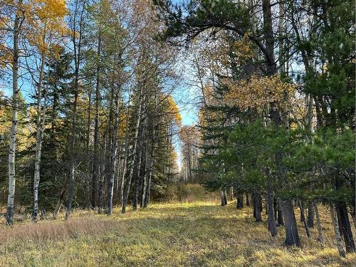 West Of Rr 55 Township 303, Rural Bighorn No. 8, M.D. Of, AB 