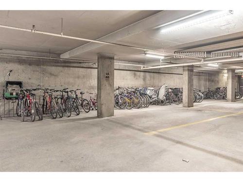 15 Cedar Springs Gardens Sw, Calgary, AB - Indoor Photo Showing Garage