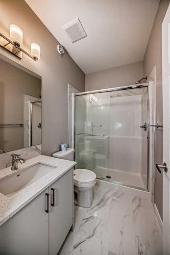 297 Homestead Crescent Ne, Calgary, AB - Indoor Photo Showing Bathroom