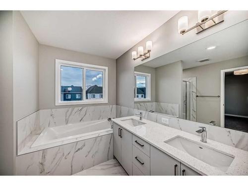 297 Homestead Crescent Ne, Calgary, AB - Indoor Photo Showing Bathroom