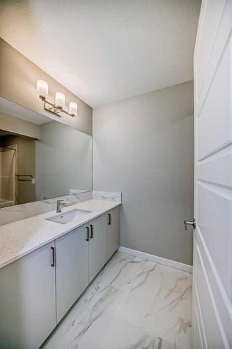 297 Homestead Crescent Ne, Calgary, AB - Indoor Photo Showing Bathroom