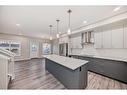 297 Homestead Crescent Ne, Calgary, AB  - Indoor Photo Showing Kitchen With Upgraded Kitchen 