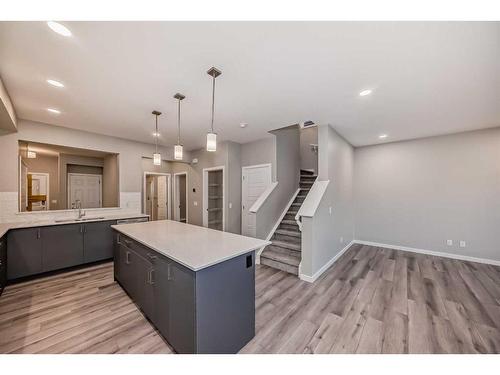 297 Homestead Crescent Ne, Calgary, AB - Indoor Photo Showing Kitchen With Upgraded Kitchen