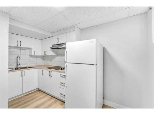 108 Pinecliff Close Ne, Calgary, AB - Indoor Photo Showing Kitchen With Double Sink