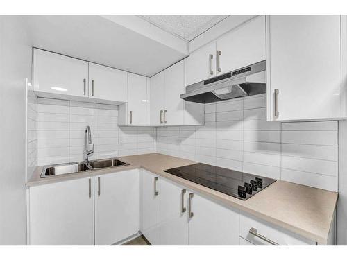 108 Pinecliff Close Ne, Calgary, AB - Indoor Photo Showing Kitchen With Double Sink