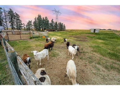 272146 Township Road 274, Rural Rocky View County, AB - Outdoor With View