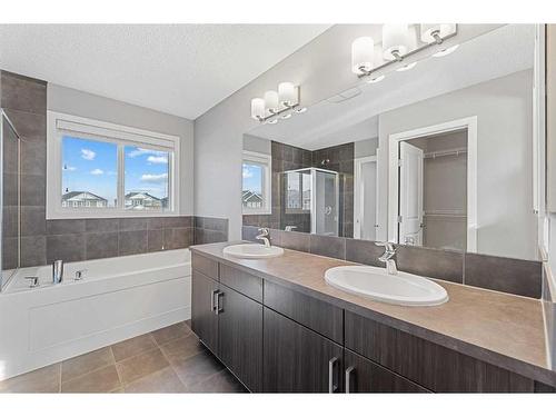 42 Redstone Manor Ne, Calgary, AB - Indoor Photo Showing Bathroom