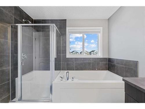 42 Redstone Manor Ne, Calgary, AB - Indoor Photo Showing Bathroom