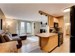 305-2317 17B Street SW Calgary, AB T2T 4S9