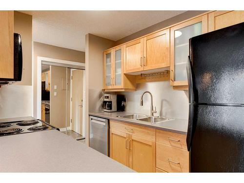 305-2317 17B Street Sw, Calgary, AB - Indoor Photo Showing Kitchen With Double Sink