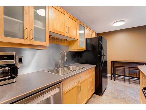 305-2317 17B Street Sw, Calgary, AB - Indoor Photo Showing Kitchen With Double Sink