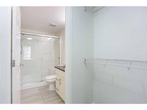 4313-99 Copperstone Park Se, Calgary, AB - Indoor Photo Showing Bathroom