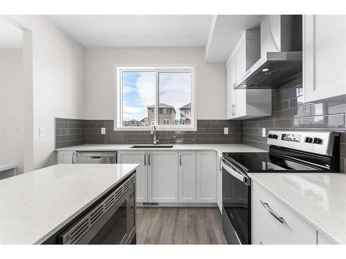 1849 Cornerstone Boulevard Ne, Calgary, AB - Indoor Photo Showing Kitchen With Upgraded Kitchen