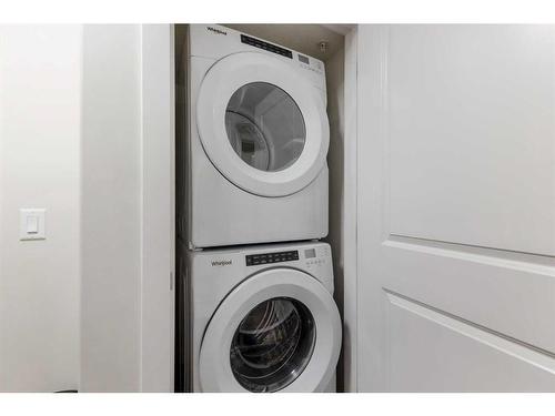 2319-6118 80 Avenue Ne, Calgary, AB - Indoor Photo Showing Laundry Room