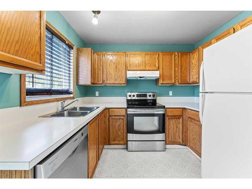 278 Martindale Boulevard Ne, Calgary, AB - Indoor Photo Showing Kitchen With Double Sink