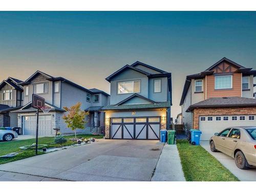 57 Skyview Shores Crescent Ne, Calgary, AB 