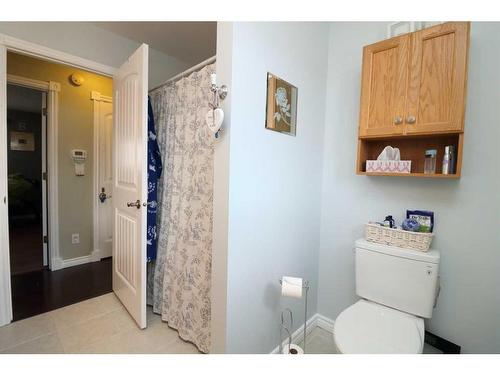 13 Big Springs Drive Se, Airdrie, AB - Indoor Photo Showing Bathroom