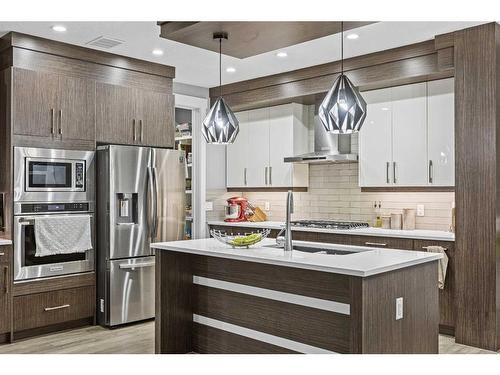 111 Sherview Grove Nw, Calgary, AB - Indoor Photo Showing Kitchen With Stainless Steel Kitchen With Upgraded Kitchen