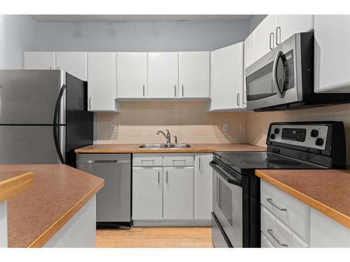 206-1026 12 Avenue Sw, Calgary, AB - Indoor Photo Showing Kitchen With Double Sink