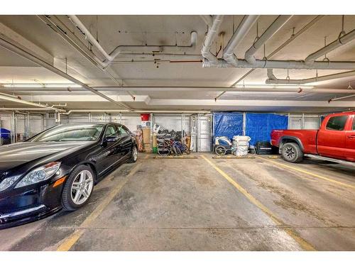 1113-11 Mahogany Row Se, Calgary, AB - Indoor Photo Showing Garage