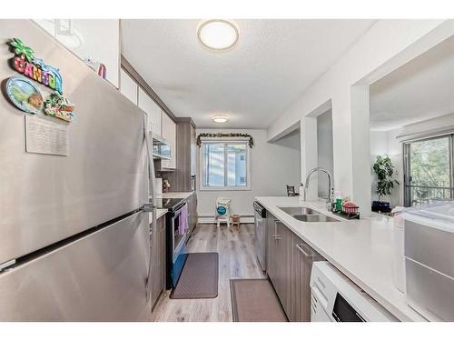 304-4328 4 Street Nw, Calgary, AB - Indoor Photo Showing Kitchen With Double Sink With Upgraded Kitchen