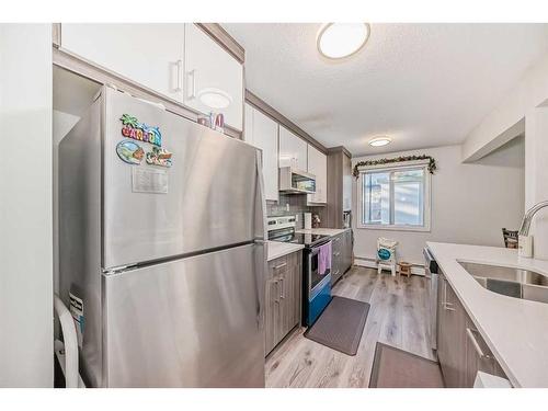 304-4328 4 Street Nw, Calgary, AB - Indoor Photo Showing Kitchen With Double Sink