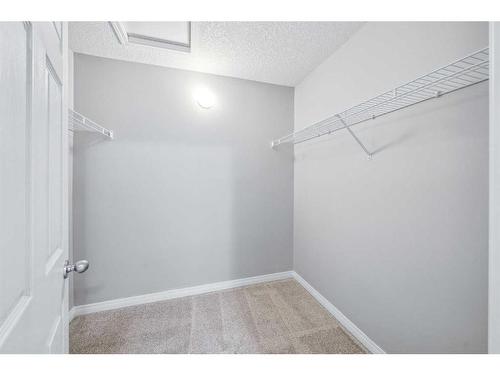 90 Copperfield Court Se, Calgary, AB - Indoor With Storage