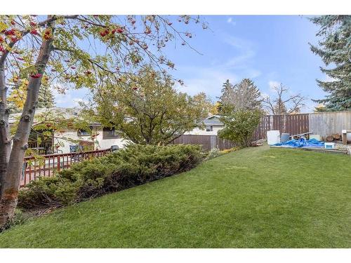 97 Fielding Drive Se, Calgary, AB - Outdoor With Backyard