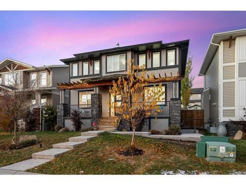 217 Rainbow Falls Glen, Chestermere, AB - Outdoor