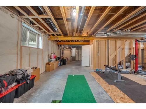 134 Red Sky Green Ne, Calgary, AB - Indoor Photo Showing Basement