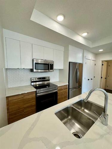 906-10060 46 Street Ne, Calgary, AB - Indoor Photo Showing Kitchen With Double Sink