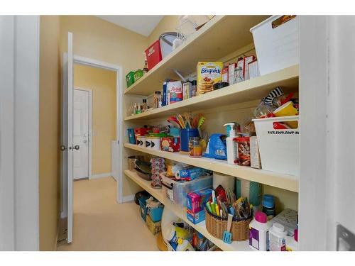 161 West Creek Boulevard, Chestermere, AB - Indoor With Storage