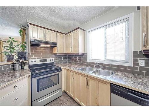 1102-10 Prestwick Bay Se, Calgary, AB - Indoor Photo Showing Kitchen With Double Sink