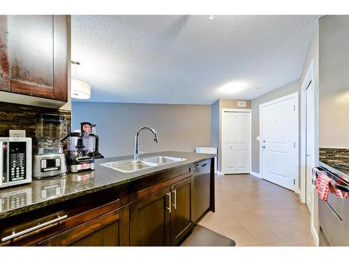 313-195 Kincora Glen Road Nw, Calgary, AB - Indoor Photo Showing Kitchen With Double Sink