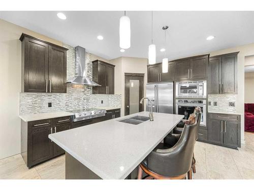 245 Chapalina Mews Se, Calgary, AB - Indoor Photo Showing Kitchen With Stainless Steel Kitchen With Double Sink With Upgraded Kitchen