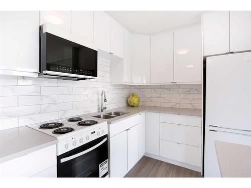 404-316 1 Avenue Ne, Calgary, AB - Indoor Photo Showing Kitchen With Double Sink