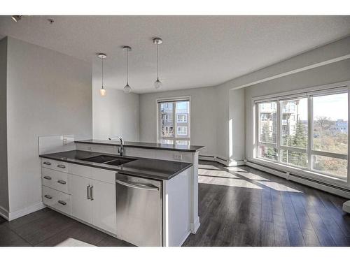 305-611 Edmonton Trail Ne, Calgary, AB - Indoor Photo Showing Kitchen With Double Sink