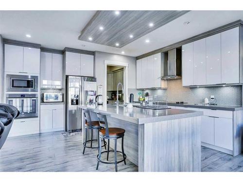 208 Bayview Street Sw, Airdrie, AB - Indoor Photo Showing Kitchen With Stainless Steel Kitchen With Upgraded Kitchen