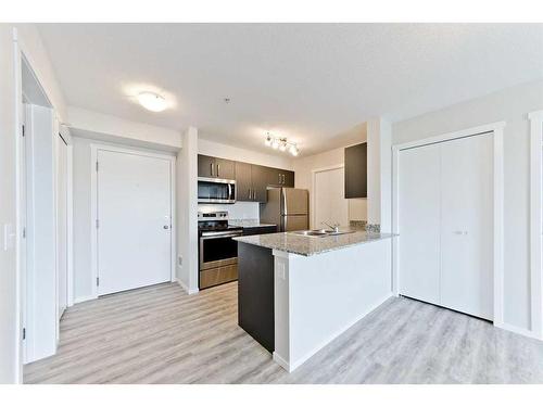 4211-4641 128 Avenue Ne, Calgary, AB - Indoor Photo Showing Kitchen With Stainless Steel Kitchen